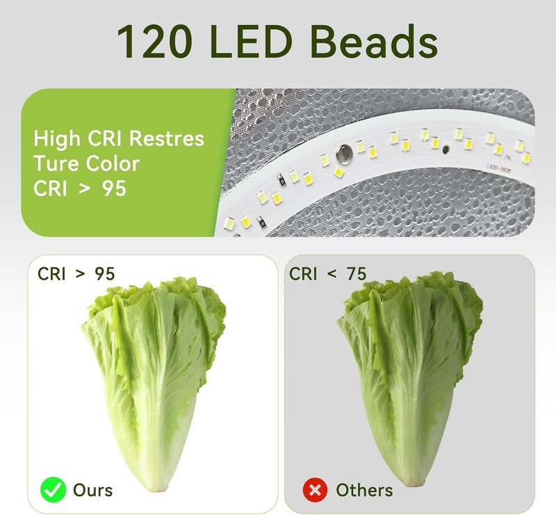 ZapPort Photo Light Box Photography - 16"x16" Photo Studio Lightbox with 120 LED Lights & 6 Backdrops for Jewelry and Small Items Product Photography - Image 2